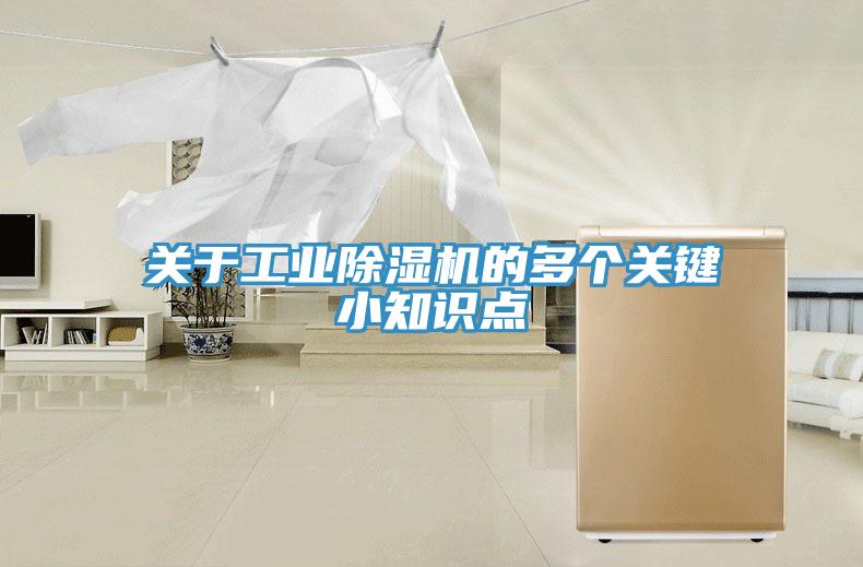 关于工业MR.好色破解版的多个关键小知识点