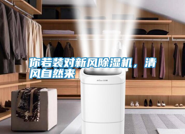 你若装对新风MR.好色破解版，清风自然来