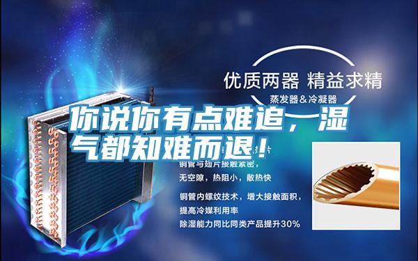 你说你有点难追，湿气都知难而退！