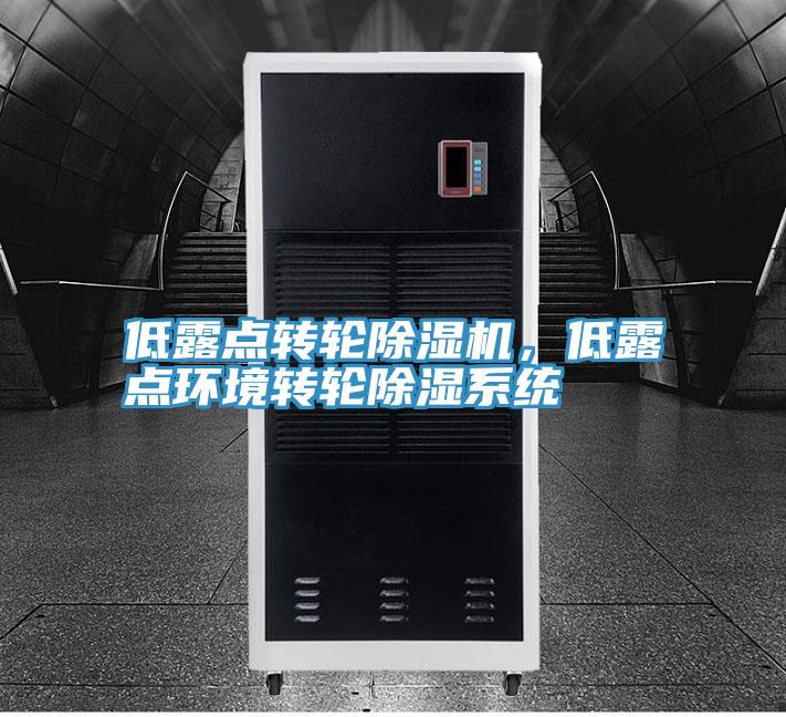 低露点转轮MR.好色破解版，低露点环境转轮除湿系统
