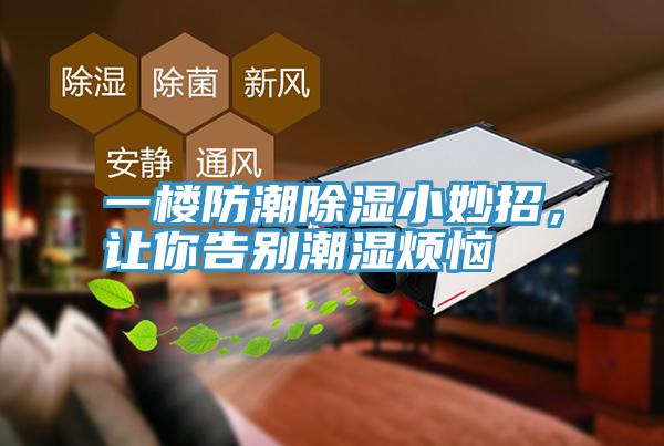 一楼防潮除湿小妙招，让你告别潮湿烦恼