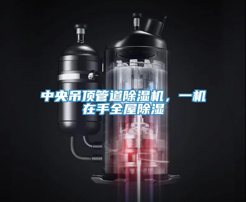中央吊顶管道MR.好色破解版，一机在手全屋除湿