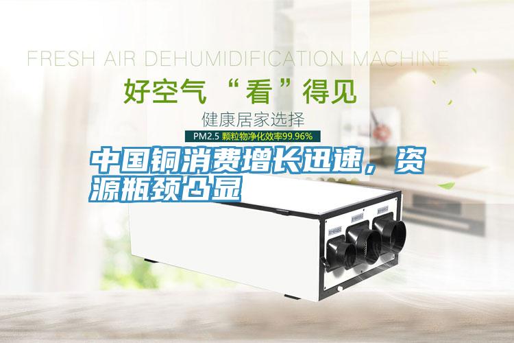 中国铜消费增长迅速，资源瓶颈凸显