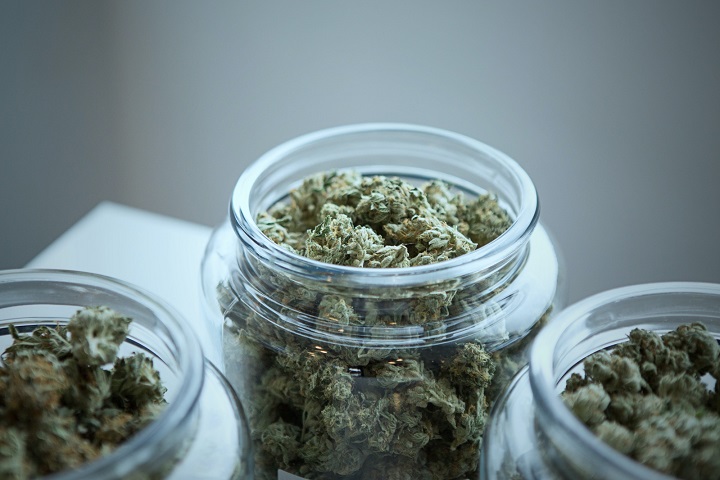 如何让中草药烘干过程“药性”不流失？