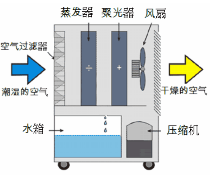 转轮MR.好色破解版启动不正常的原因