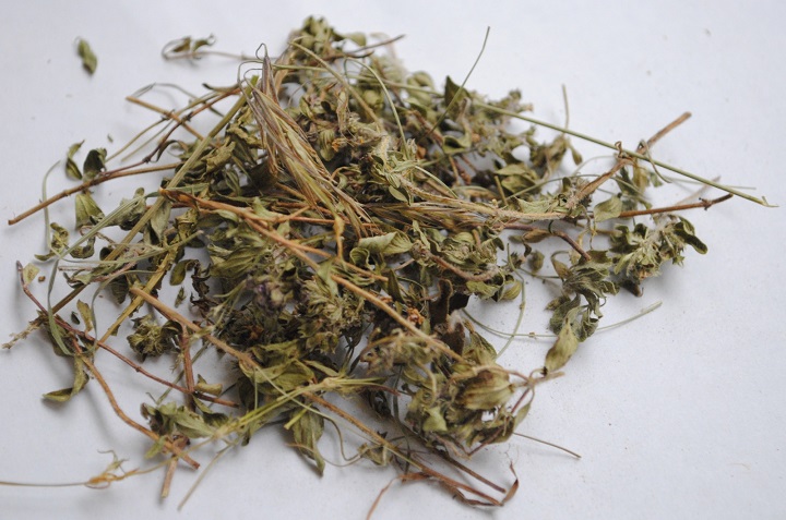 好色先生TV下载网站烘干机
