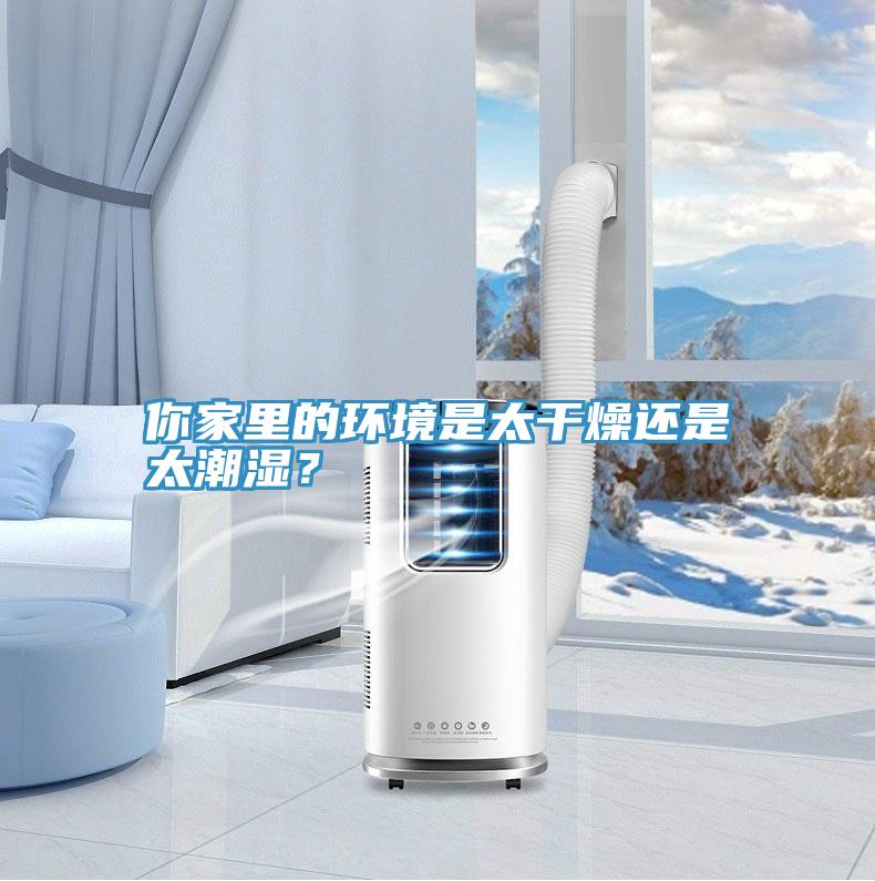 你家里的环境是太干燥还是太潮湿？