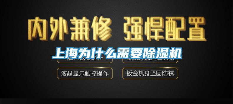 上海为什么需要MR.好色破解版