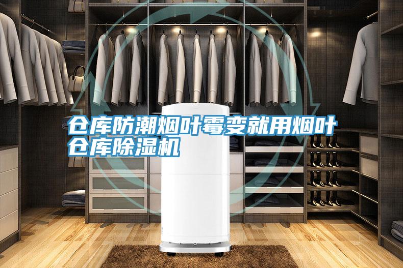 仓库防潮烟叶霉变就用烟叶仓库MR.好色破解版