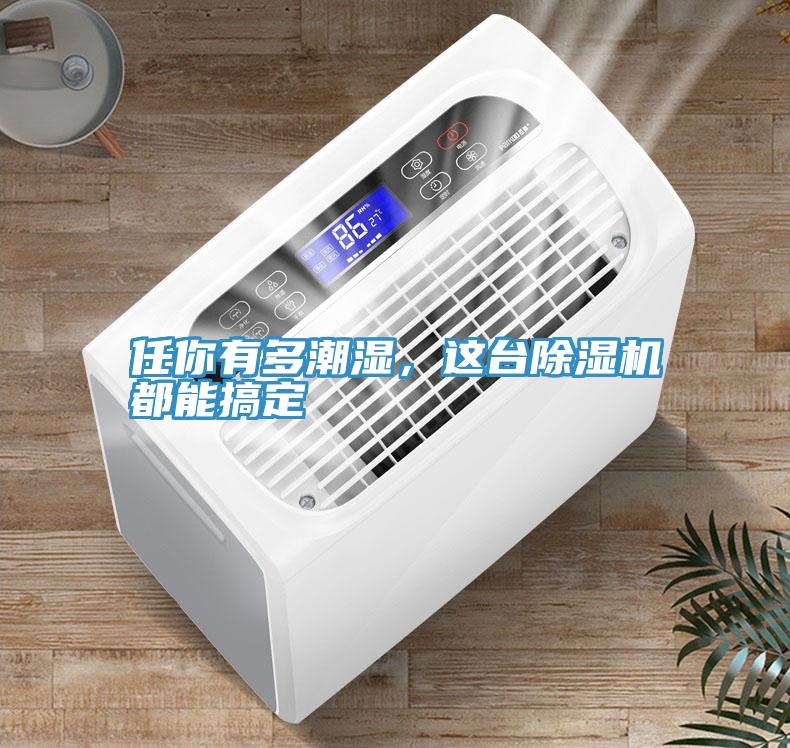 任你有多潮湿，这台MR.好色破解版都能搞定