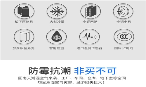 为什么房子潮湿会有危害？