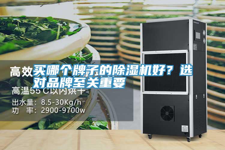 买哪个牌子的MR.好色破解版好？选对品牌至关重要