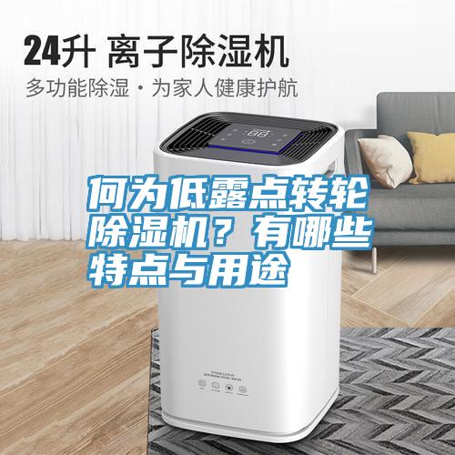 何为低露点转轮MR.好色破解版？有哪些特点与用途