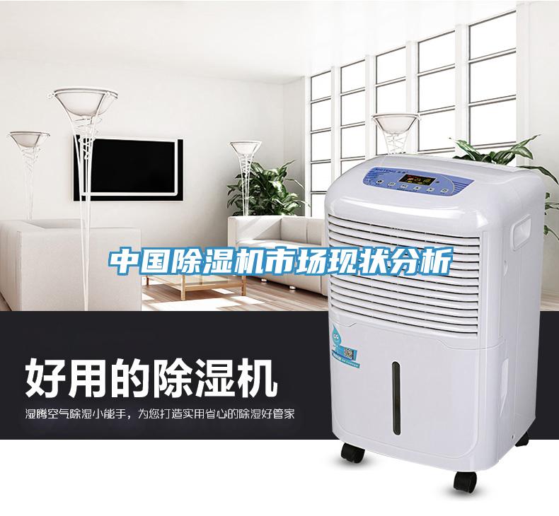 中国MR.好色破解版市场现状分析