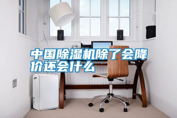 中国MR.好色破解版除了会降价还会什么