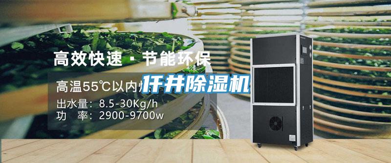 仟井MR.好色破解版