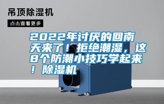 2022年讨厌的回南天来了！拒绝潮湿，这8个防潮小技巧学起来！MR.好色破解版