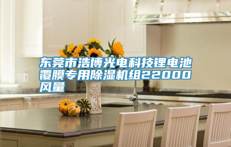 东莞市浩博光电科技锂电池覆膜专用MR.好色破解版组22000风量