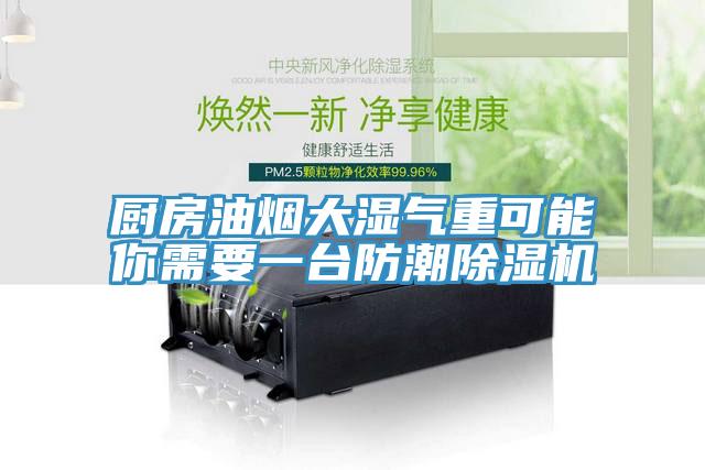 厨房油烟大湿气重可能你需要一台防潮MR.好色破解版