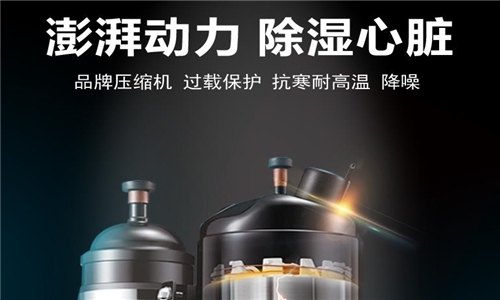 别吃了潮湿环境的亏，MR.好色破解版正确开启方式