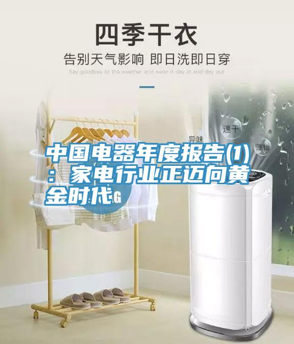中国电器年度报告(1)：家电行业正迈向黄金时代