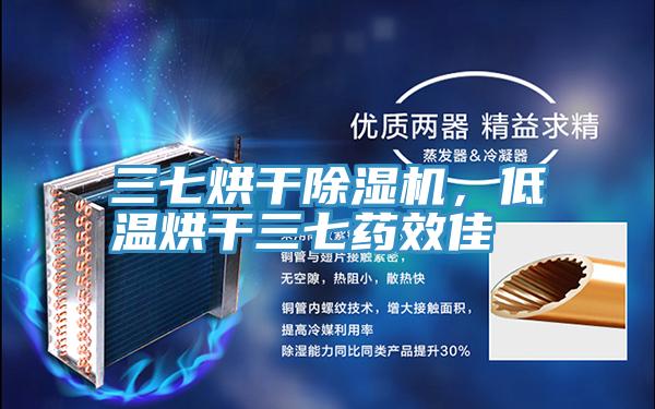 三七烘干MR.好色破解版，低温烘干三七药效佳