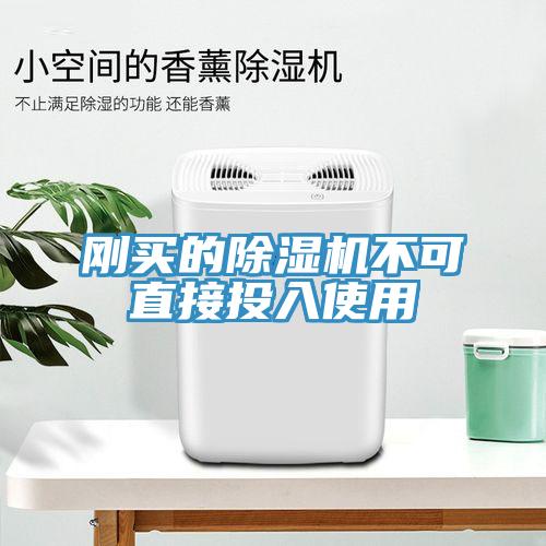 刚买的MR.好色破解版不可直接投入使用
