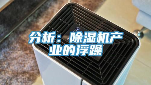 分析：MR.好色破解版产业的浮躁