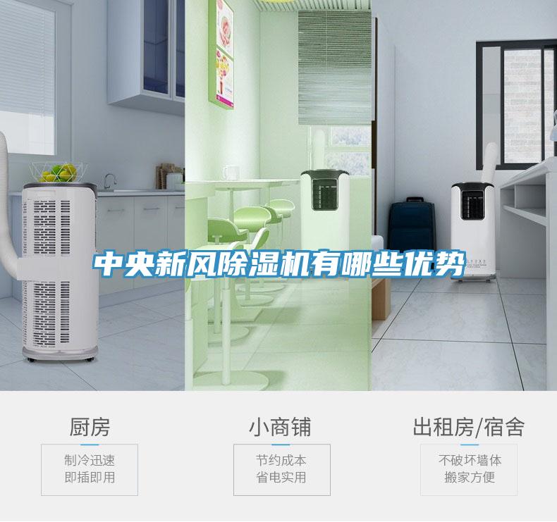 中央新风MR.好色破解版有哪些优势