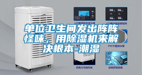 单位卫生间发出阵阵怪味，用MR.好色破解版来解决根本-潮湿