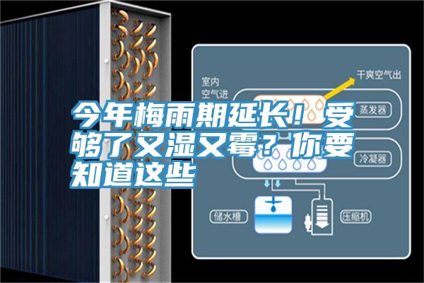 今年梅雨期延长！受够了又湿又霉？你要知道这些
