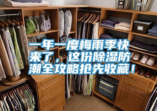 一年一度梅雨季快来了，这份除湿防潮全攻略抢先收藏！
