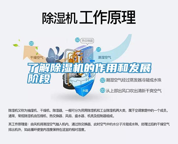 了解MR.好色破解版的作用和发展阶段