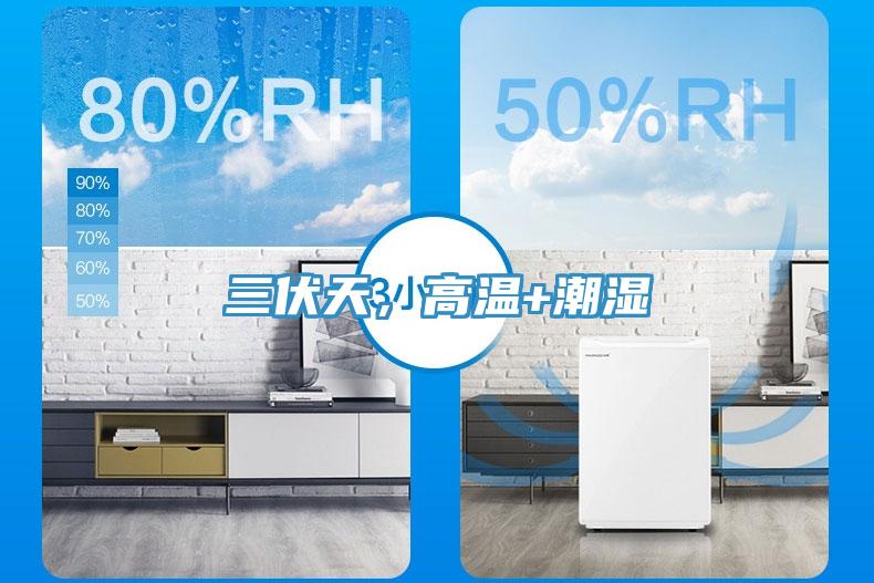 三伏天，高温+潮湿