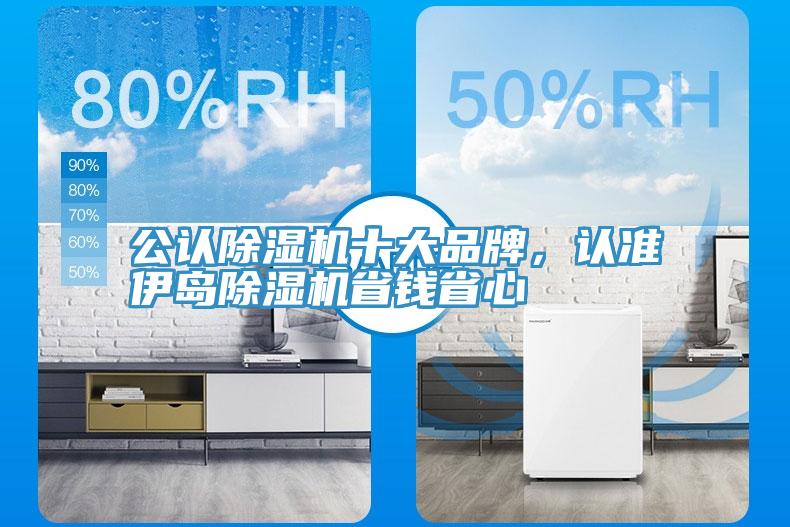 公认MR.好色破解版十大品牌，认准伊岛MR.好色破解版省钱省心