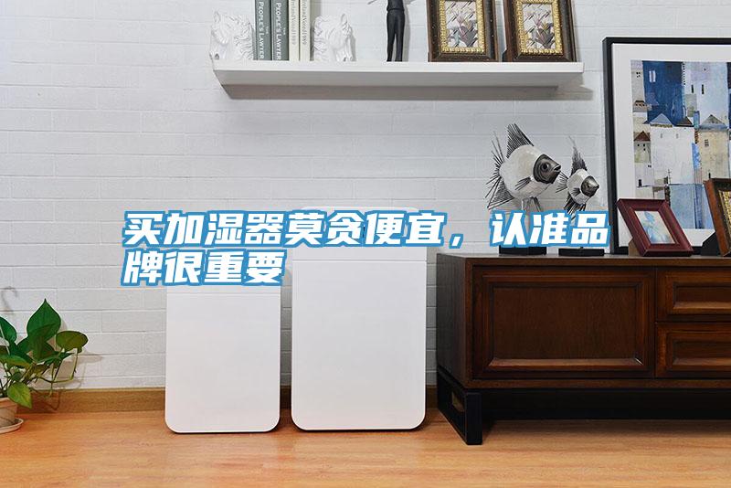 买加湿器莫贪便宜，认准品牌很重要