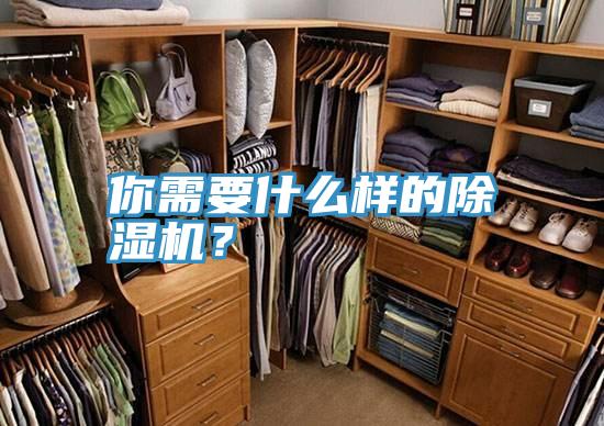 你需要什么样的MR.好色破解版？