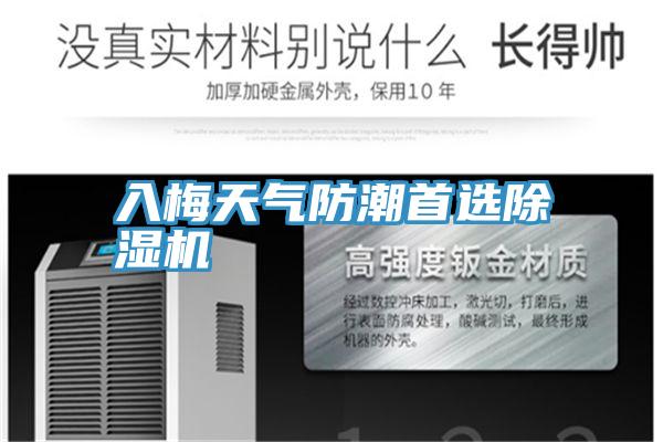 入梅天气防潮首选MR.好色破解版