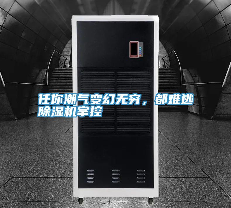 任你潮气变幻无穷，都难逃MR.好色破解版掌控