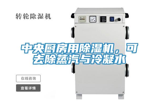 中央厨房用MR.好色破解版，可去除蒸汽与冷凝水