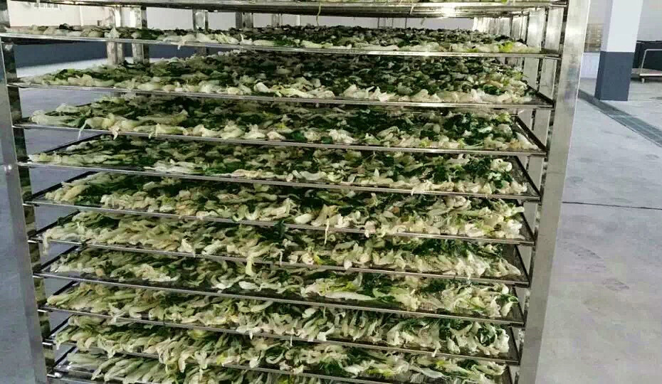 菜干需求一直都很大，蔬菜烘干机很有市场