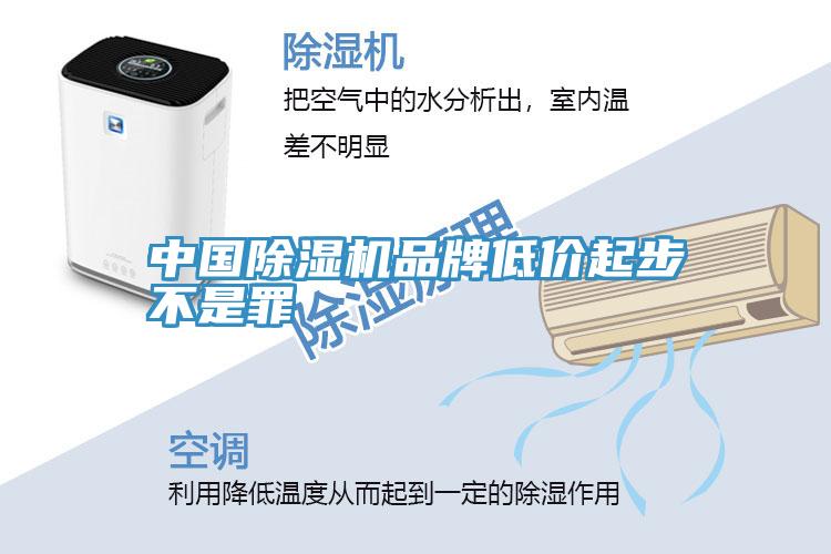 中国MR.好色破解版品牌低价起步不是罪