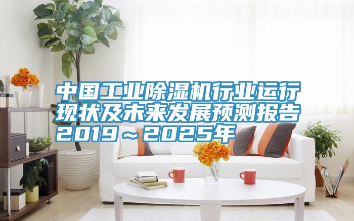 中国工业MR.好色破解版行业运行现状及未来发展预测报告2019～2025年