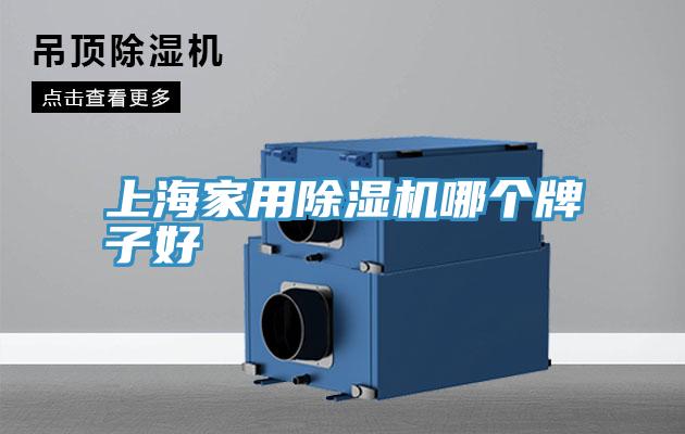 上海家用MR.好色破解版哪个牌子好