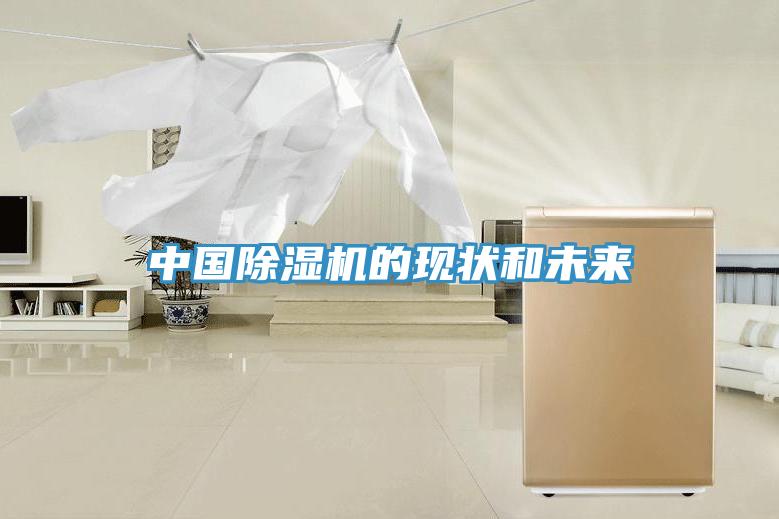 中国MR.好色破解版的现状和未来