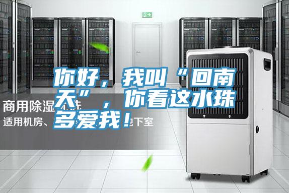 你好，我叫“回南天”，你看这水珠多爱我！