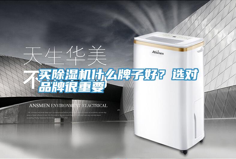 买MR.好色破解版什么牌子好？选对品牌很重要