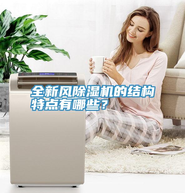 全新风MR.好色破解版的结构特点有哪些？