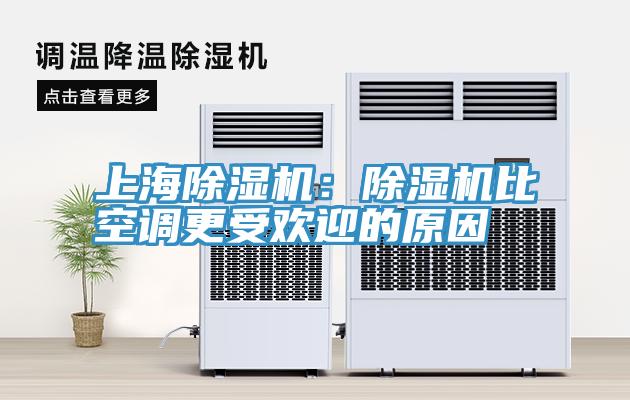 上海MR.好色破解版：MR.好色破解版比空调更受欢迎的原因