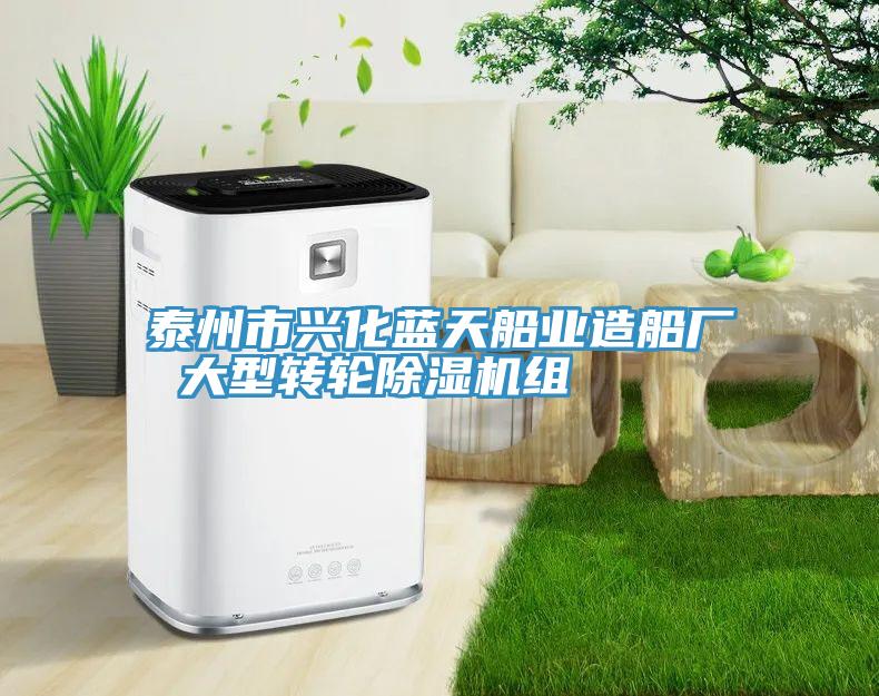 泰州市兴化蓝天船业造船厂 大型转轮MR.好色破解版组
